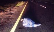 Muere arrollado en autopista La Tinaja-Cosamaloapan