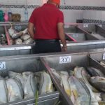 Esperan comerciantes aumento en ventas de pescados y mariscos