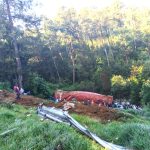 Trailero Prensado al Caer a Barranco en Normandía